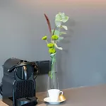 Lägenhetshotell Tt-rooms - Kontaktlos Mit Self Check-in I Free Parking