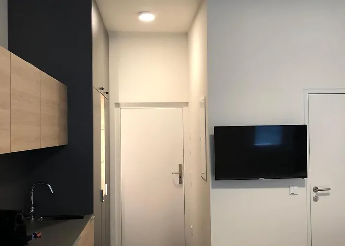 Tt-rooms - Kontaktlos Mit Self Check-in I Free Parking Lejlighedshotel Graz